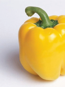 yellow_pepper.png